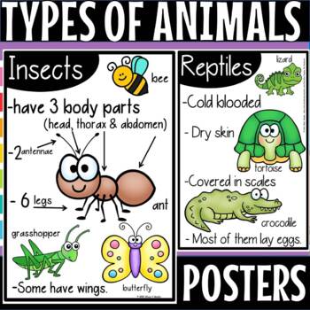 Animal classification posters by Murphys lesson design | TPT