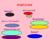 Animal classification (vertebrate groups)