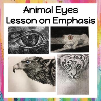 Drawing Animal Eyes Teaching Resources | TPT