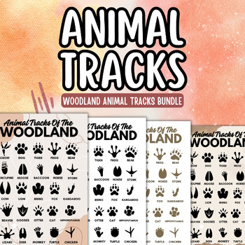 Animal Tracks Worksheet Bundle Identify Animal Tracks Educational