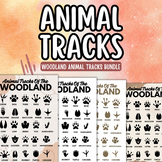 Animal footprints bundle, Woodland animal tracks