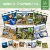 Animal habitats sorting activity. Animal environments