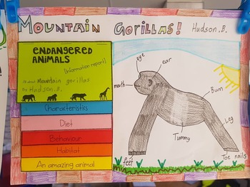 Editable animal flip book by Mrs P takes on Grade 3 | TpT