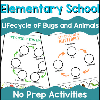 Preview of Animal life cycle worksheet, Life Cycles Printable Pack, Animal Life Cycle for k