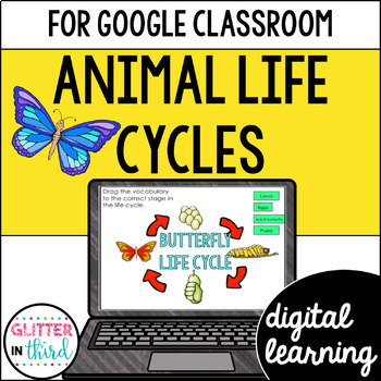 Preview of Animal life cycles Activities for Google Classroom