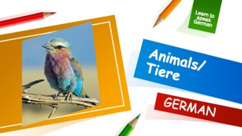 Preview of Animal names in German