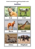 Animal nomenclature matching printable cards