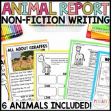 Animal reports and research | Nonfiction Writing | Informa
