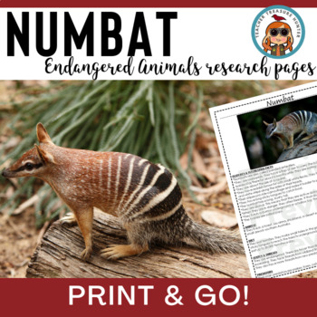 Animal reports on endangered animals | Australian numbat information page