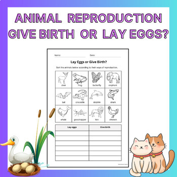 Preview of Animal reproduction | Lay Eggs or Give Birth | Sorting worksheet