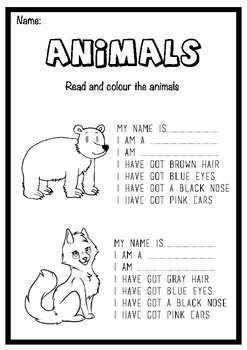Animal's Descriptions by Cristina Pillado | TPT