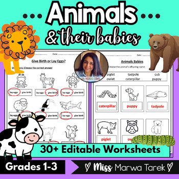 Preview of Animals & Their Babies {Editable!} {Worksheets} - Ms Marwa Tarek
