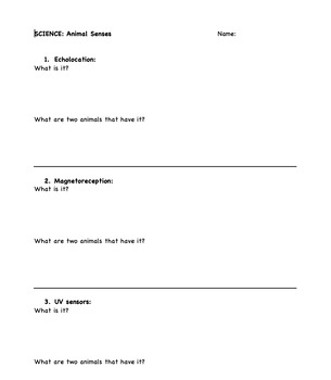 Preview of Animal senses research sheet- 4 types