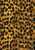Animal skin pattern activity