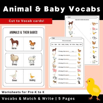 Preview of Animal & their baby Vocabs / Color Vocab cards & worksheet Vol.1 for PreK + K
