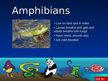 Preview of Animal type classification PowerPoint game