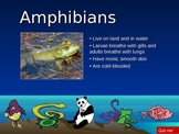 Animal type classification PowerPoint game
