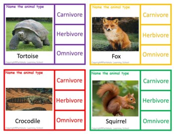 Animal types-Carnivore, Herbivore, Omnivore-Task Clip Cards with Real images