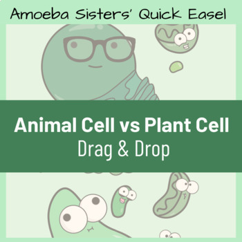 Animal vs Plant Cells Comparison - Amoeba Sisters Quick EASEL | TPT