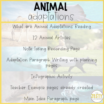 Preview of Animal with Cool Adaptations