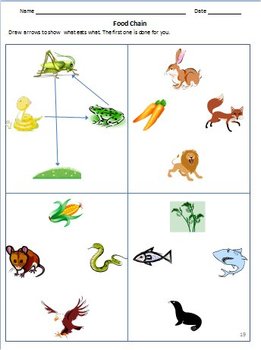 animals birds and insects worksheets for grade 1 2 kindergarten