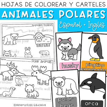 Preview of Animales Polares Hojas para Colorear y Carteles - Polar Animals Coloring Pages