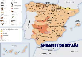 Preview of Animales de España