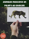 Animales mexicanos en peligro de extinción