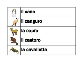 Animali (Animals in Italian) Word Wall by jer520 LLC | TPT