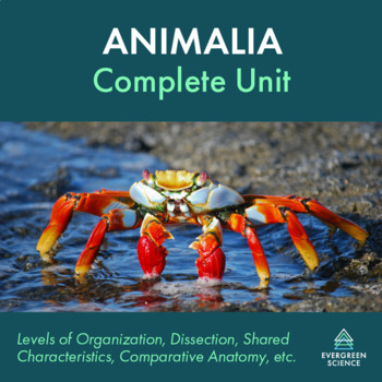 Preview of Animalia Complete Unit