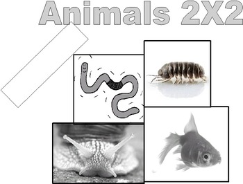Preview of Animals 2X2:  Science Notebook
