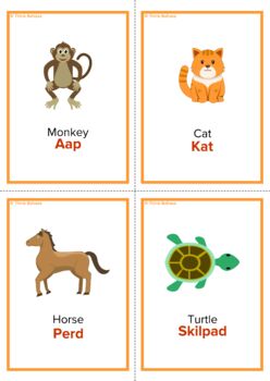 Details about   Educational Flash Cards Afrikaans 16 Farm Animals 