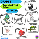 Animals And Their Babies Flash Cards