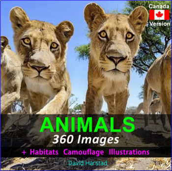 Preview of Animals: Animal Habitats, Adaptations, Classification - 360 Images (Canada)