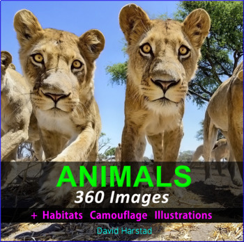 Preview of Animals - Animal Habitats