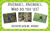Animals, Animals, Who do you see? (PDF) Creative Curriculum