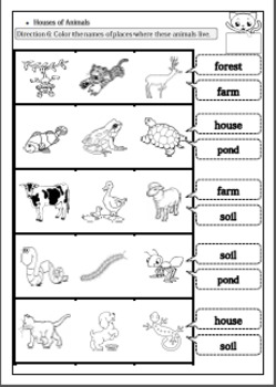 Animals Around Us Worksheet for G.1-2 by Smiley Teacher | TpT