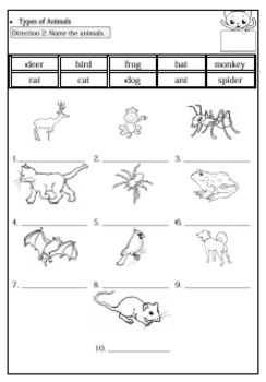 Animals Around Us Worksheet for G.1-2 by Smiley Teacher | TPT