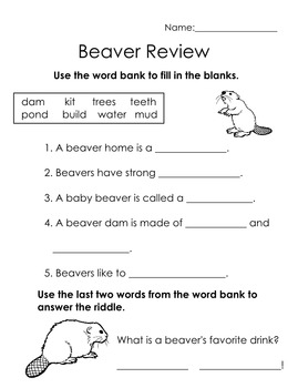 Preview of Animals: Beaver Review
