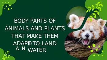 PPT - Animal Adaptations PowerPoint Presentation, free download