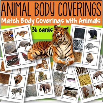 Animals Body Coverings - Match Coverings With Animals 36 Cards Science  Preschool