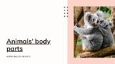 Animals' Body Parts