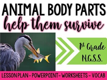 Preview of 1st NGSS Life Science Animals Body Parts Help Them Survive ( 1-LS1-1 )