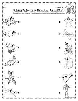 ngss 1st grade ls1 ls3 animals body parts physical features and