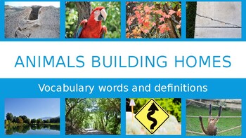 Preview of Animals Building Homes Vocabulary Words, Definitions, and Pictures.