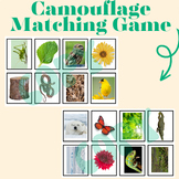 Animals Camouflage Matching Game