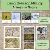 Animals: Camouflage and Mimicry Nature Study Science