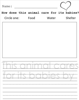 Animals And Their Babies Teaching Resources | TPT