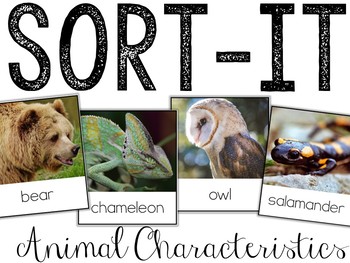 Preview of Animals Characteristics | Scales Feather Skin Fur