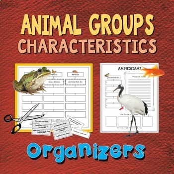 Preview of Animal Groups: Characteristics
